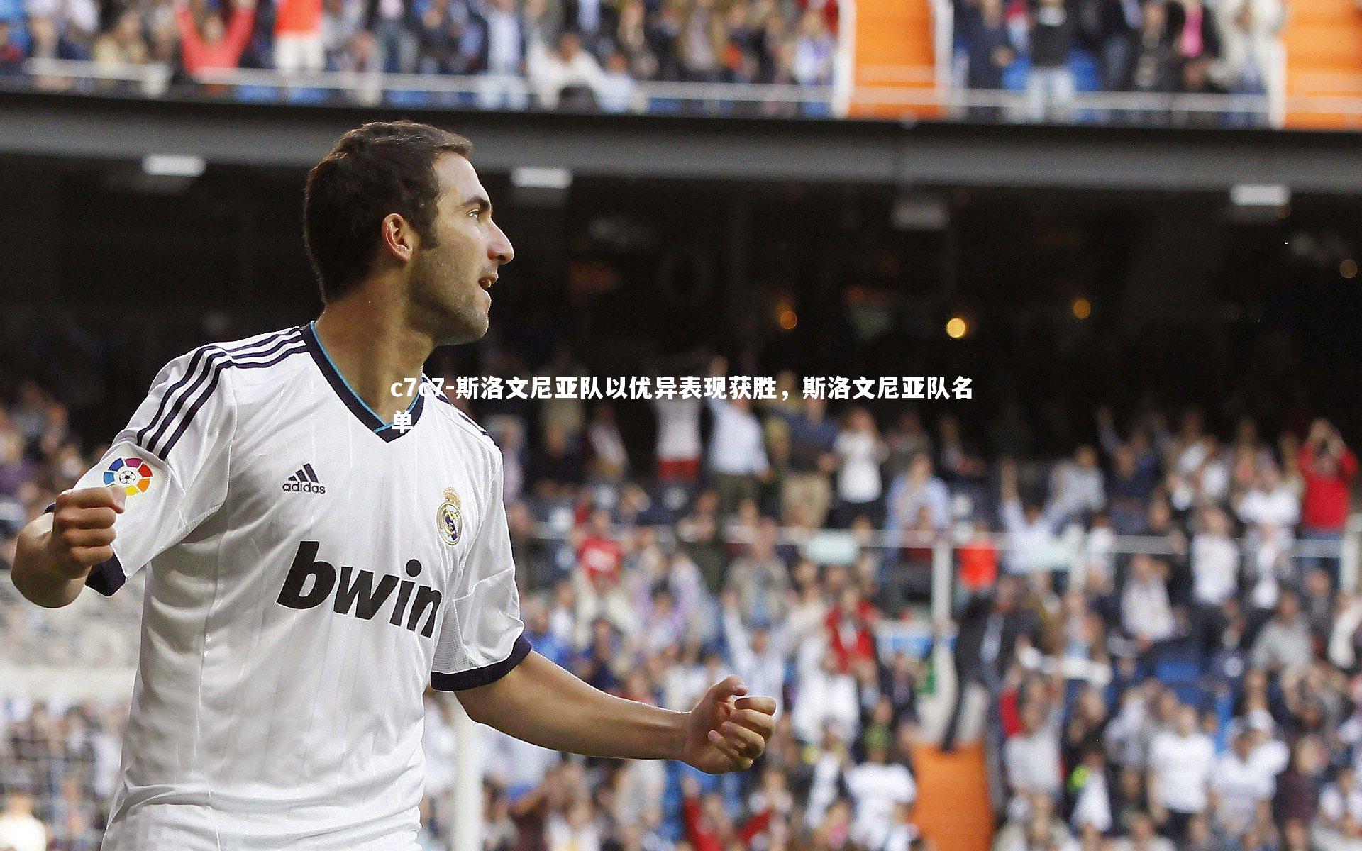 斯洛文尼亚队以优异表现获胜，斯洛文尼亚队名单