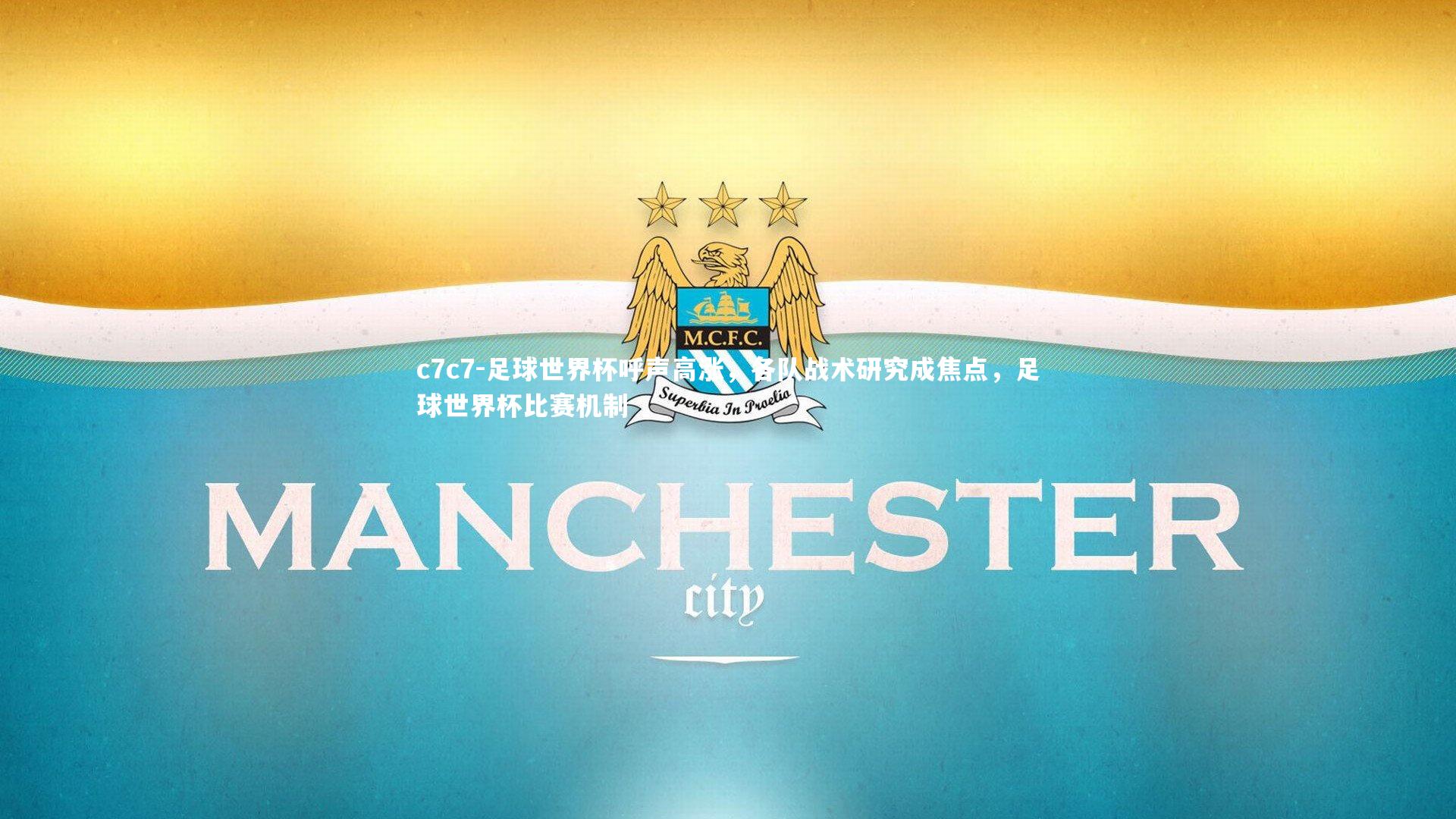 足球世界杯呼声高涨，各队战术研究成焦点，足球世界杯比赛机制