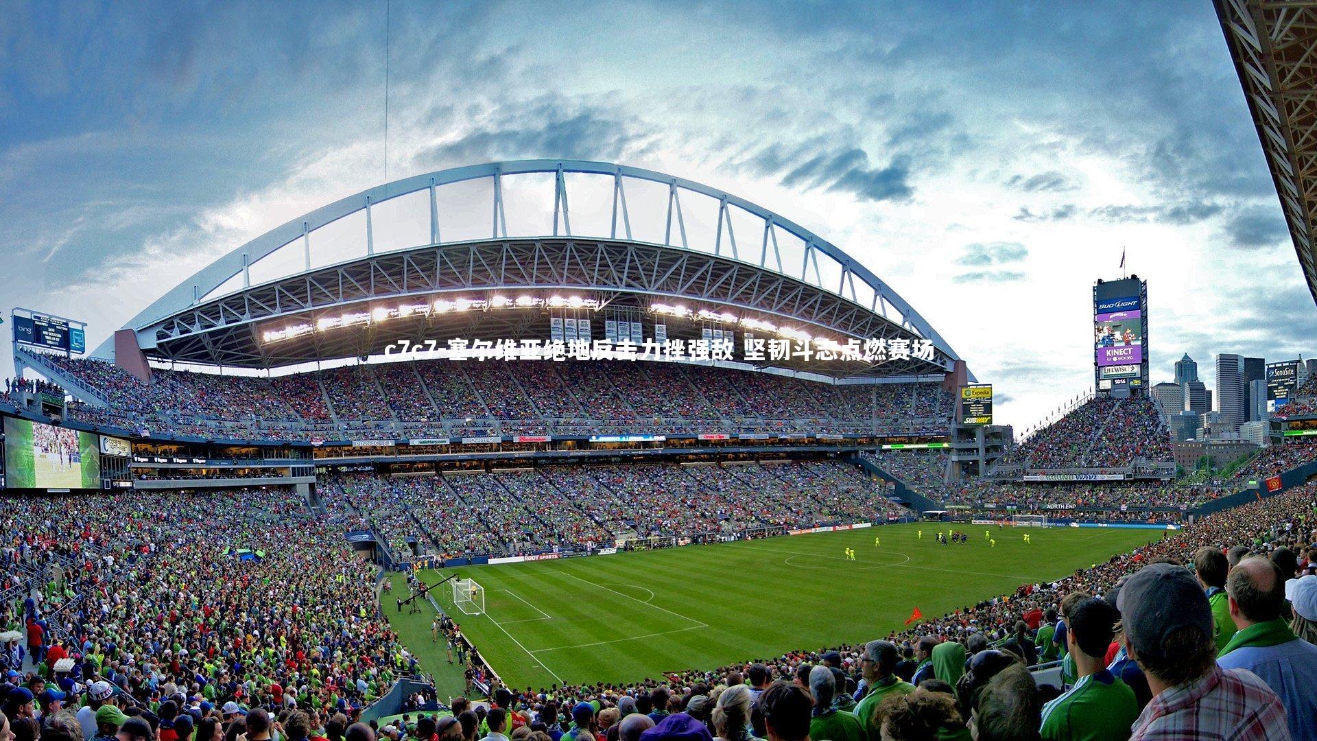 塞尔维亚绝地反击力挫强敌 坚韧斗志点燃赛场