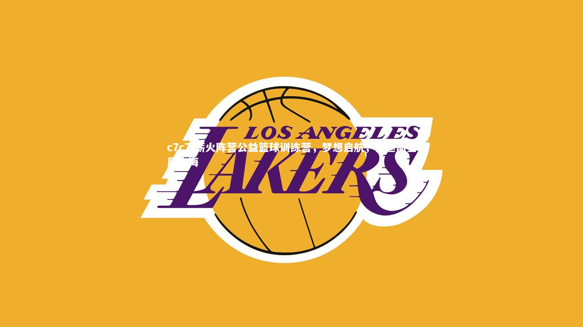 薪火阵营公益篮球训练营，梦想启航，征途向星辰大海